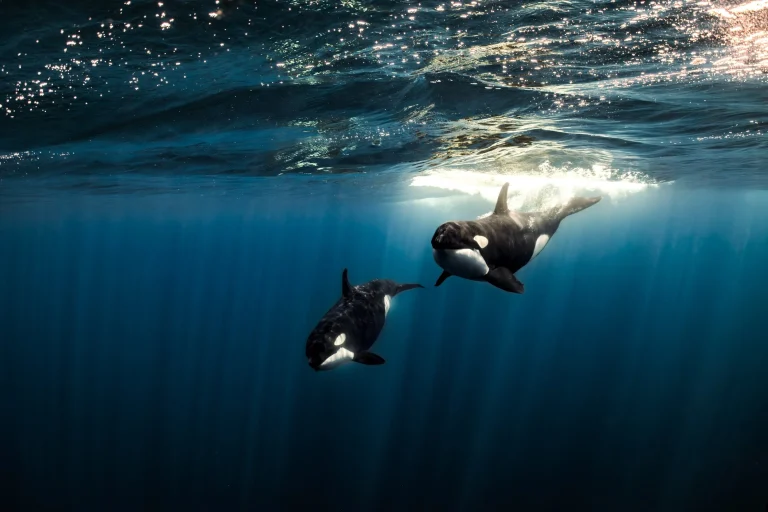 2A3A3360-Enhanced-NR-7-min