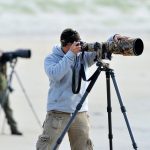 wildlife-photography-beginners-1200x900-cropped